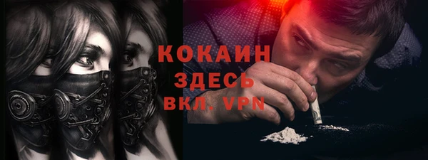дмт Абаза