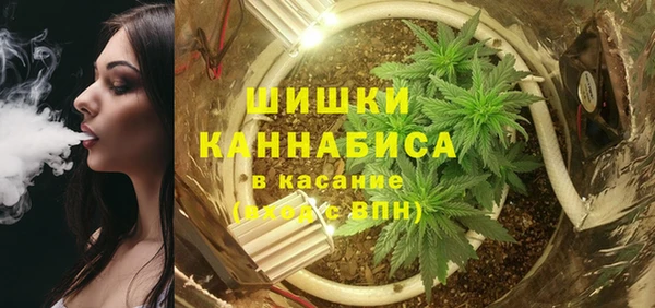 дмт Абаза
