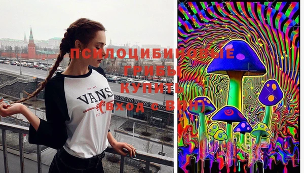 Альфа ПВП Абдулино