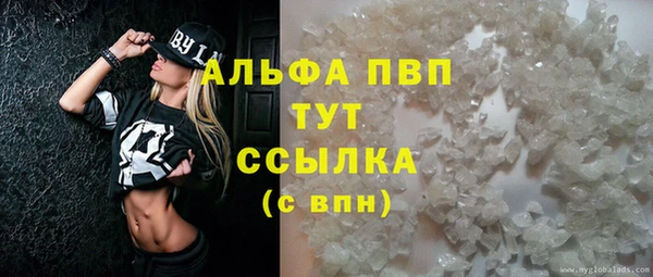 дмт Абаза