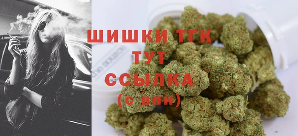 дмт Абаза